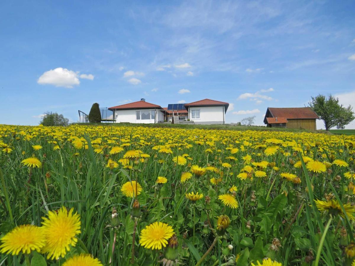 Traumferienhaus Xxl Ortner Wetzendorf Εξωτερικό φωτογραφία